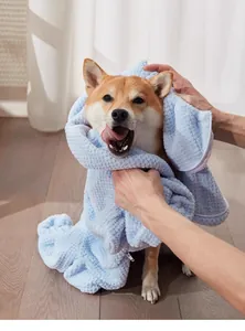 Chien Shiba Inu séché avec un peignoir pour animaux en microfibre bleu clair absorbant