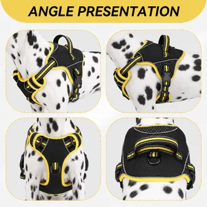 Detail view showing four angles of a black and yellow dog harness vest on a Dalmatian dog