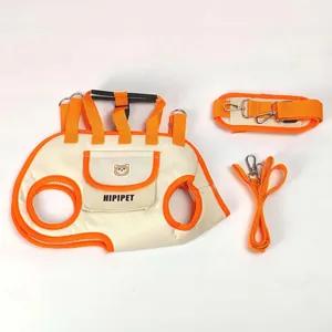 Detailed view of a cream and orange pet harness set with leash and shoulder strap components