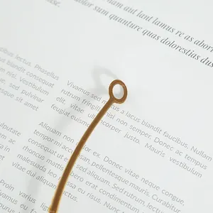 Detalle macro del tallo de plástico marrón y el lazo para colgar de una enredadera de Arce