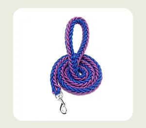 Laisse pour chien en nylon tressé violet et bleu avec fermoir rotatif en métal robuste