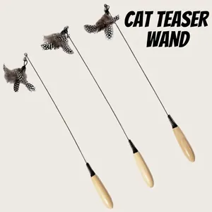 Interactive Cat Teaser Wand Toy with Natural Wood Handle and High Elastic Steel Wire Feather with Bell For Cats Daily Play