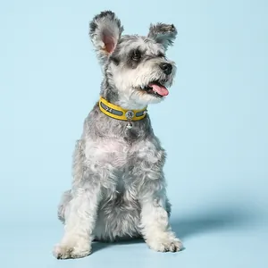 Close-up view of reflective yellow dog collar with bone charm and bell on a cute dog