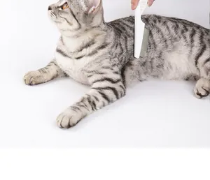 Action shot of a white pet flea comb being used on a grey tabby cat for grooming.