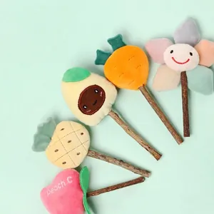 Set mit 5 farbenfrohen Katzenminze-Plüschobstspielzeugen mit Silvervine-Sticks für Katzen