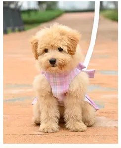 Cute puppy wearing a pink plaid JK style dog dress harness in a sunny outdoor park