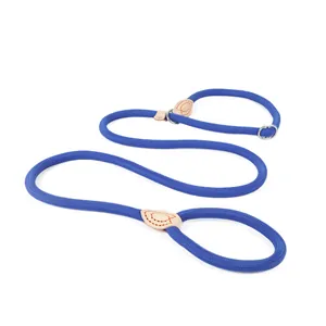 High-quality blue braided slip lead dog leash with durable leather reinforcement details.