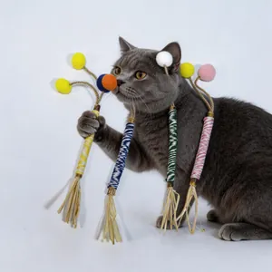 Macro detail of a grey cat interacting with colorful silvervine matatabi teething sticks.