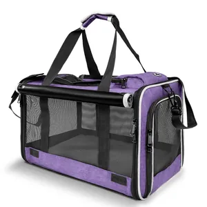 Purple breathable mesh pet carrier bag for small dogs and cats, foldable design.