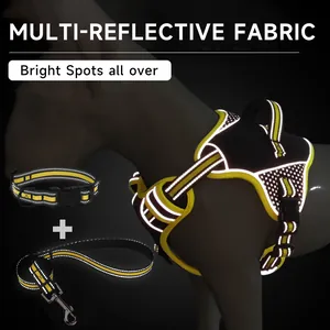 Reflective dog harness and leash set detail showing high-visibility reflective fabric.
