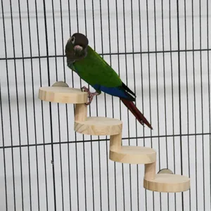 Detailweergave van een kleine papegaai op een houten wenteltrap in een vogelkooi.