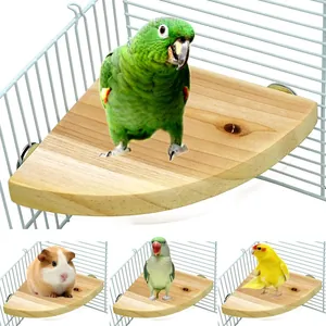 Piattaforma Posatoio per Uccelli in Legno Naturale a Forma di Ventaglio per Pappagalli Criceti Accessori per Gabbia Installazione Facile