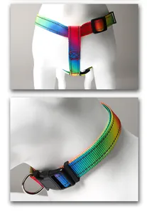 Close-up detail of rainbow gradient nylon pet harness and collar with durable buckle