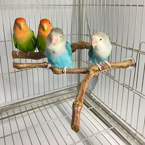 Detail der in einem Metall-Vogelkäfig installierten Naturholz-Sitzstange