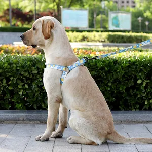 Arnés y correa para perro con diseño impreso para perros grandes exterior