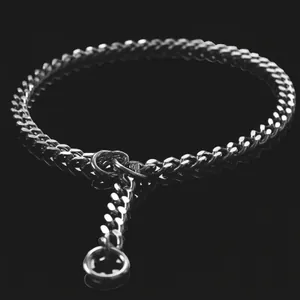 Stainless Steel Dog Training Collar No Pull P-Chain Seamless Welding Polished Heavy Duty Choke Chain For Medium Large Dogs