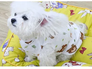 Nahaufnahme der Hundeweste mit süßem Bären-Print aus atmungsaktivem Mesh-Gewebe