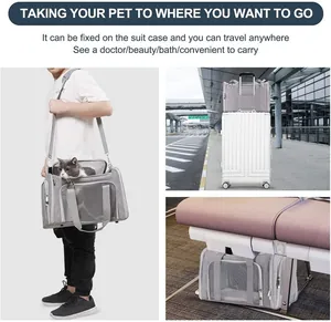 Detailansicht der grauen Haustiertasche, die am Koffer für bequemes Reisen befestigt ist