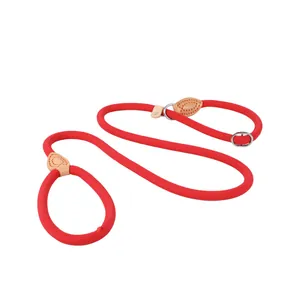 Durable red braided dog slip lead with leather joints for small and large dogs