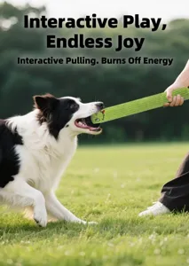 Border Collie playing tug-of-war with a long green plush dog toy on a sunny lawn