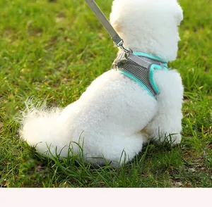 Professionelles atmungsaktives Mesh-Haustiergeschirr-Set an weißem Hund im sonnigen Park.