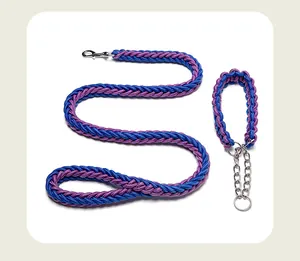 Vue détaillée de l'ensemble laisse et collier pour chien en nylon tressé violet et bleu