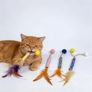 Cute orange cat playing with a natural silvervine molar stick featuring soft feathers