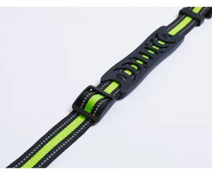 Close-up detail of reflective nylon dog leash strap with black adjustable buckle and handle.