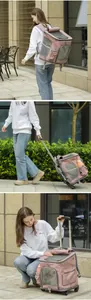 Large capacity pink pet carrier backpack with wheels and trolley handle for cats
