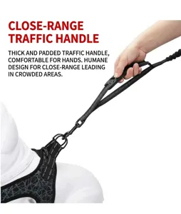 Close-up view of a reflective dog leash with a thick short-distance control handle