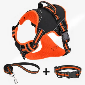 Reflective orange and black pet harness leash and collar set presented on white background