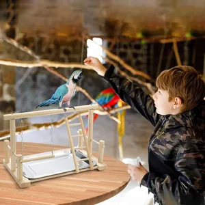 Large wooden interactive bird playground for small and medium parrots with a swing and ladder