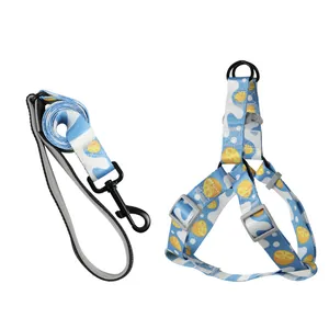 Conjunto de arnés y correa para perro con estampado de limones y patrón de olas azules