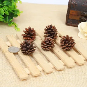 Small natural brown pinecones for rustic Christmas decor and photography props, 5 pieces set