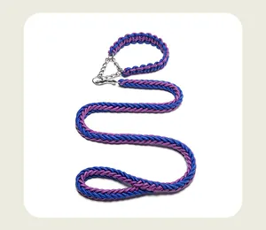 Détail de la laisse et du collier pour chien en nylon tressé à 8 brins bleu et violet.