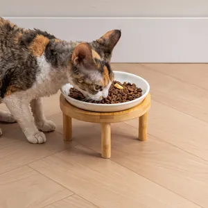 Bol surélevé en céramique pour chat de 15 cm avec support en bois minimaliste dans la maison