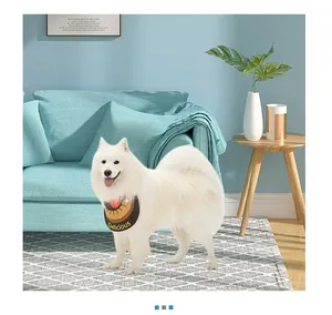 Weißer Hund mit braunem wasserfestem Donut-Lätzchen in einem gemütlichen Wohnzimmer