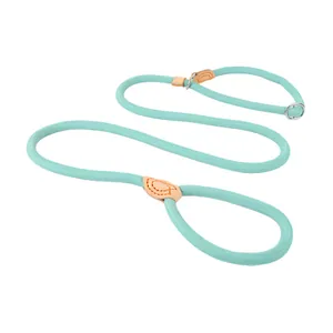 Detailed view of turquoise slip lead dog leash with leather reinforcement