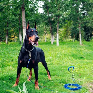 Set di picchetto in acciaio e cavo blu robusto per l'attacco di cani all'aperto