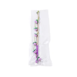 Kattenhengel met paarse vilten bessen en houten stok in transparante plastic verpakking
