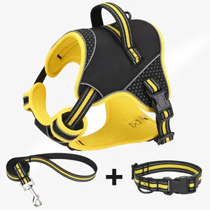 Detailed view of reflective black and yellow vest-style dog harness, leash, and collar set