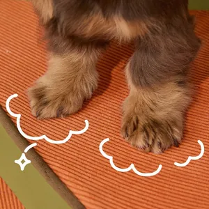 Nahaufnahme der strukturierten orangefarbenen Cord-Hundetreppe für kleine Hunde
