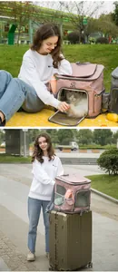 Young woman interacting with a cat inside a large pink pet carrier backpack outdoors