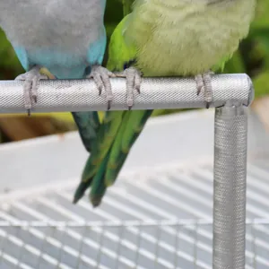 Close-up of knurled stainless steel bird perch showing abrasive texture for claw grinding