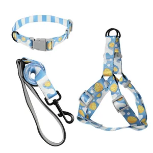 Set de 3 piezas de arnés, correa y collar para perro con estampado de limones azul y amarillo