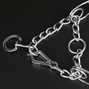 Hundehalsband aus Edelstahl für das Training mit robuster Metallkette und Schnallenverschluss