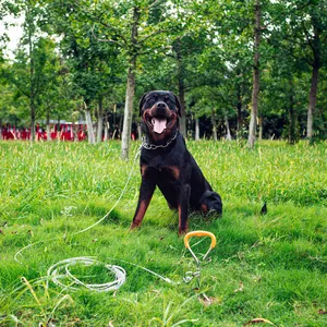 Picchetto per cani resistente con impugnatura arancione e set di guinzaglio in acciaio