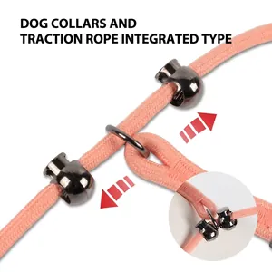 Professional dog training P-leash with integrated collar and double safety buckles