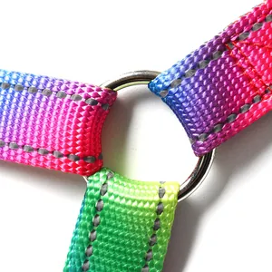 Macro shot of a rainbow gradient dog harness featuring reflective stitching and ring