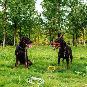 Picchetto per cani resistente con guinzaglio in cavo d'acciaio per cani grandi all'aperto